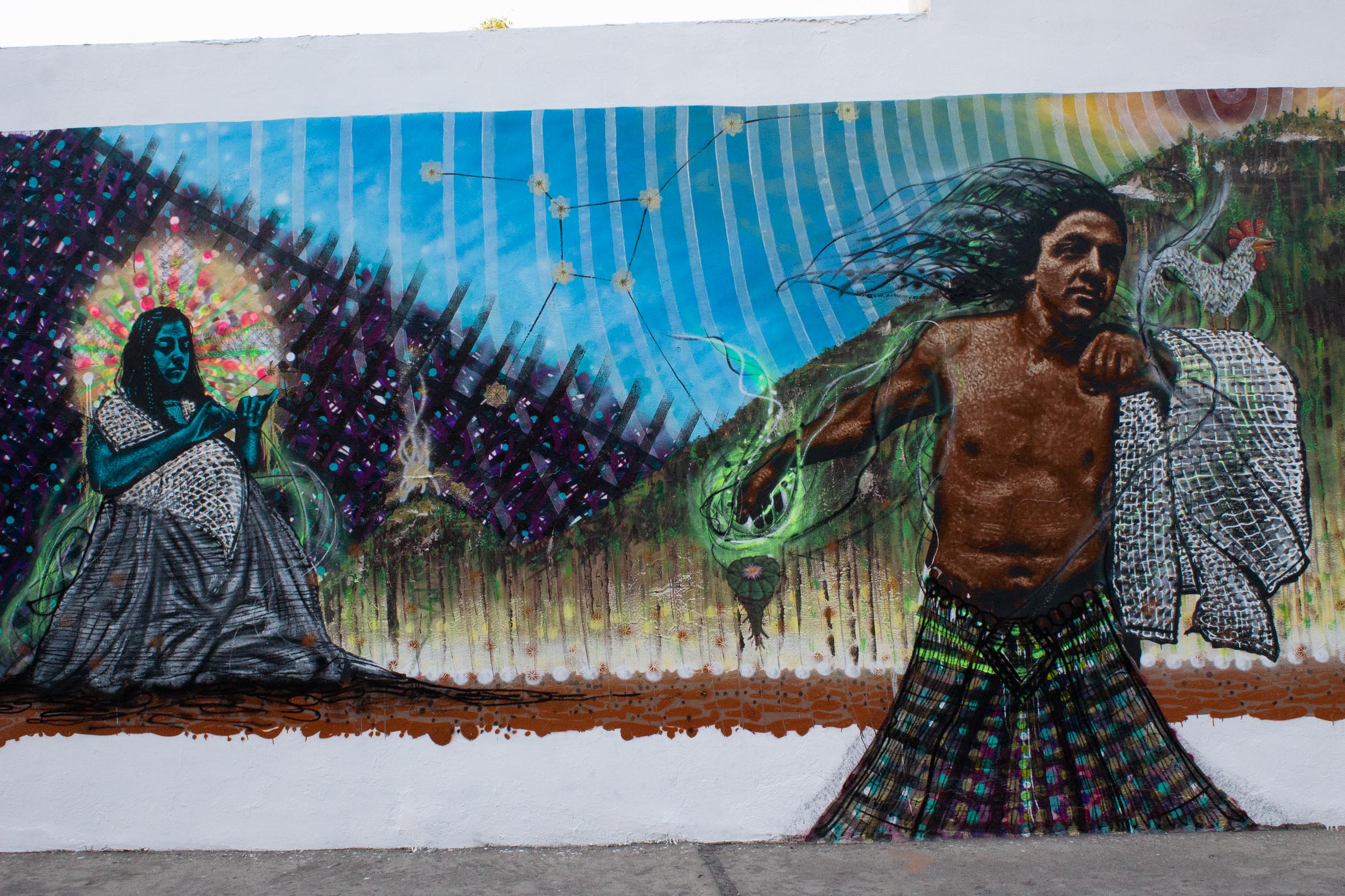 fiesta del gallo, indigena, estrellas, patrimonio, historia, tradición, fiesta