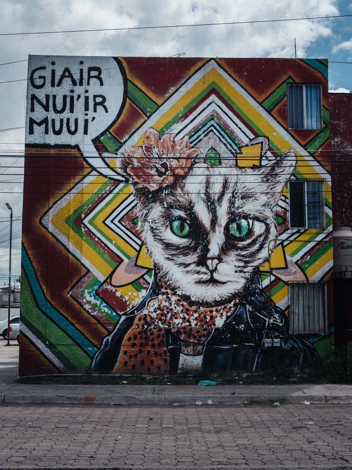 corazón, gato, esperanza, seguridad, ojos, calle, bienestar