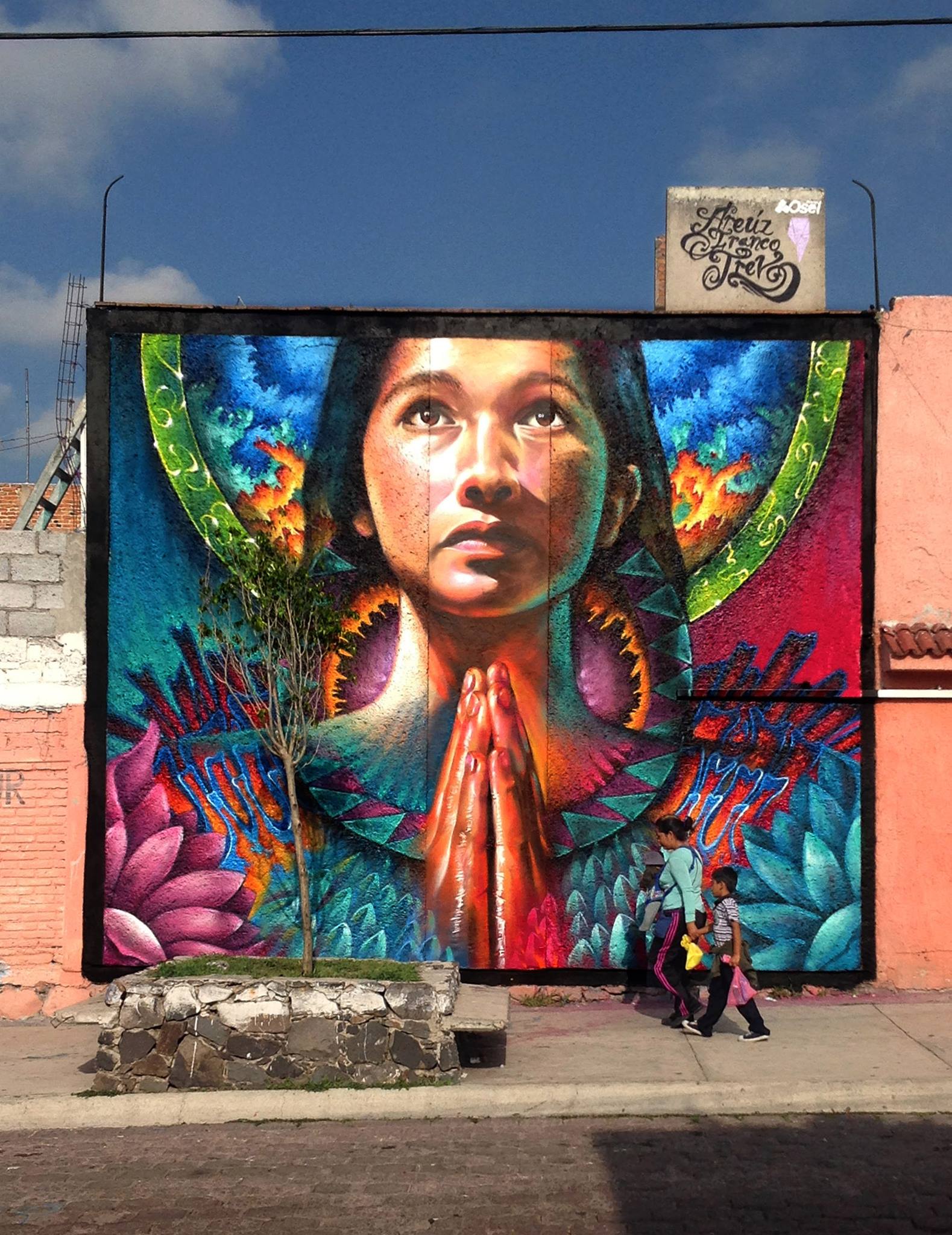 mujer, flores, manos