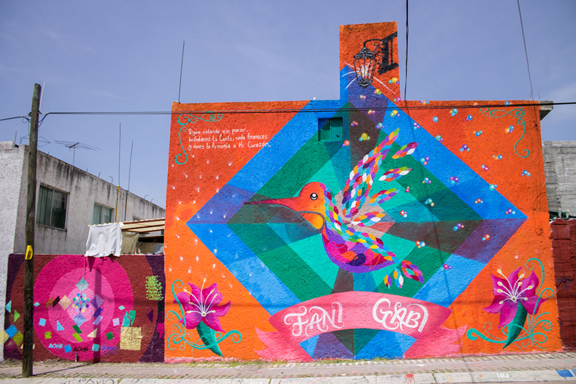 colibri, amanecer, corazón, armonia, mujeres, canto