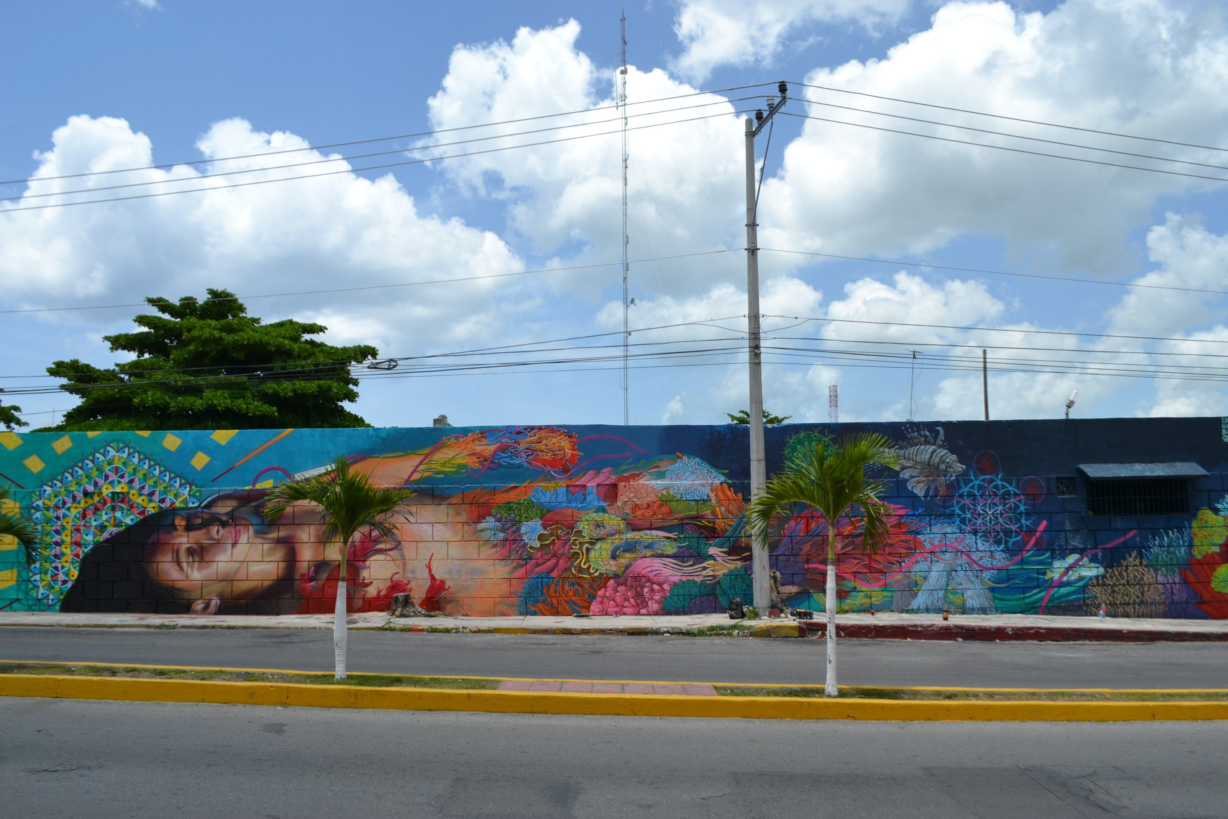 Ixchel, luna, vida, coral, naturaleza, humanidad, armonía