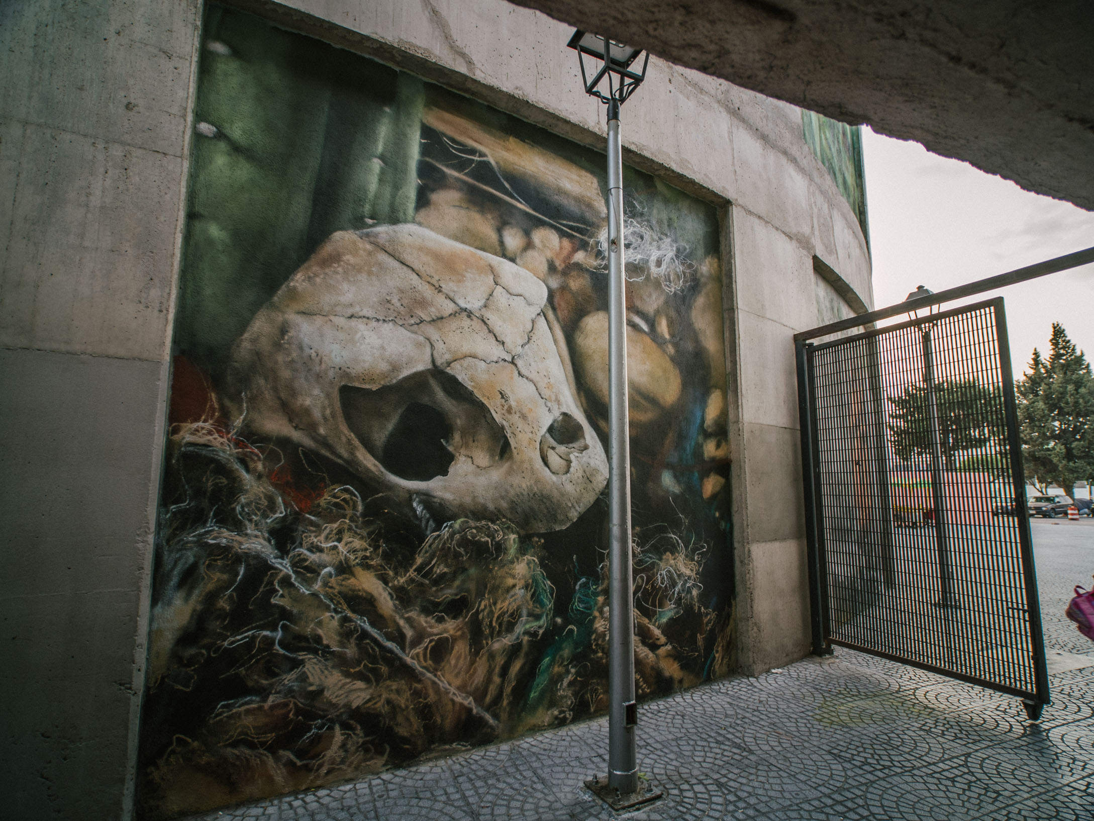 #nuevearteurbano #incusa #todoesuno #grafiti #marum #paxurbana #muralismo #queretaro