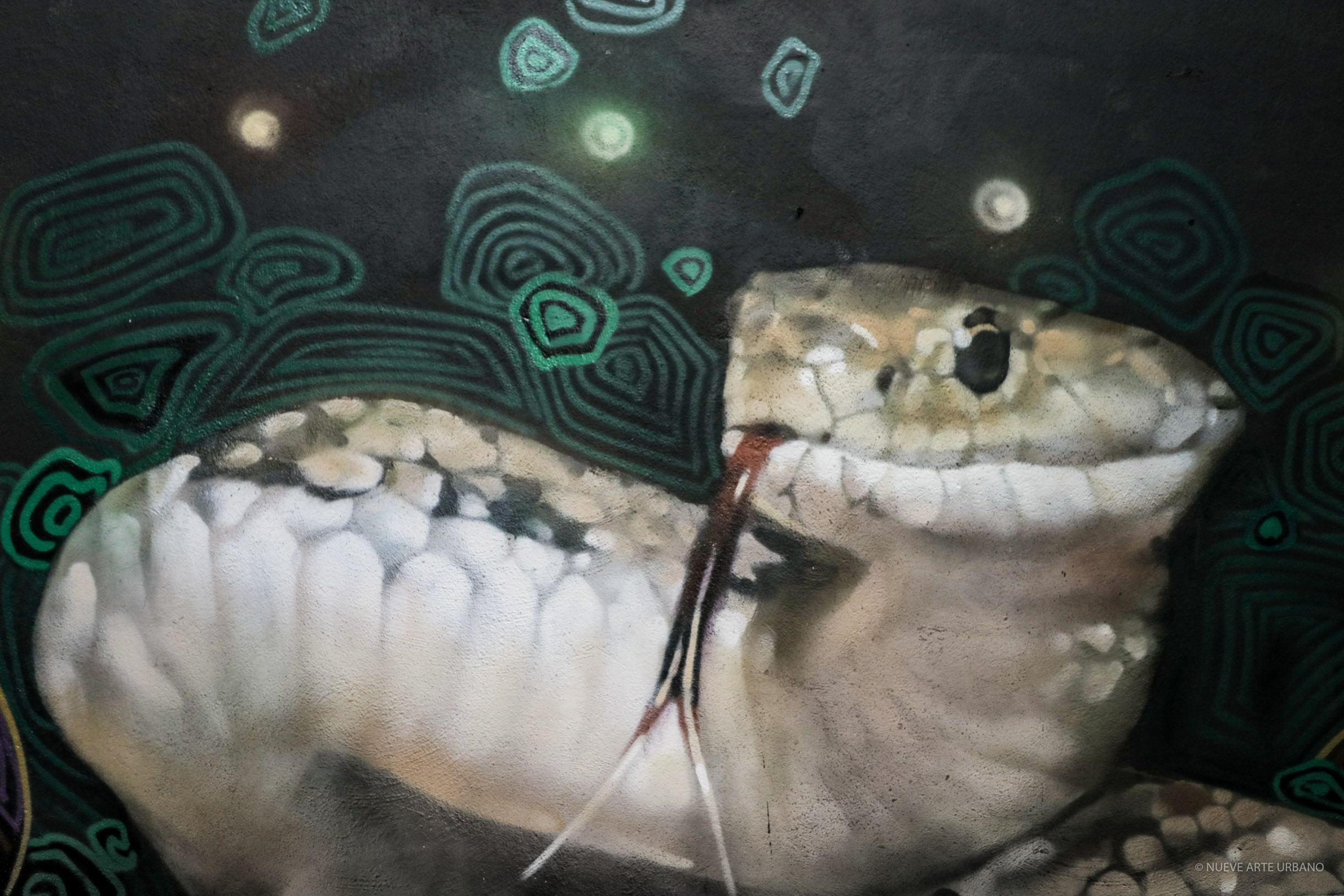 #nuevearteurbano #incusa #todoesuno #grafiti #marum #paxurbana #muralismo #queretaro